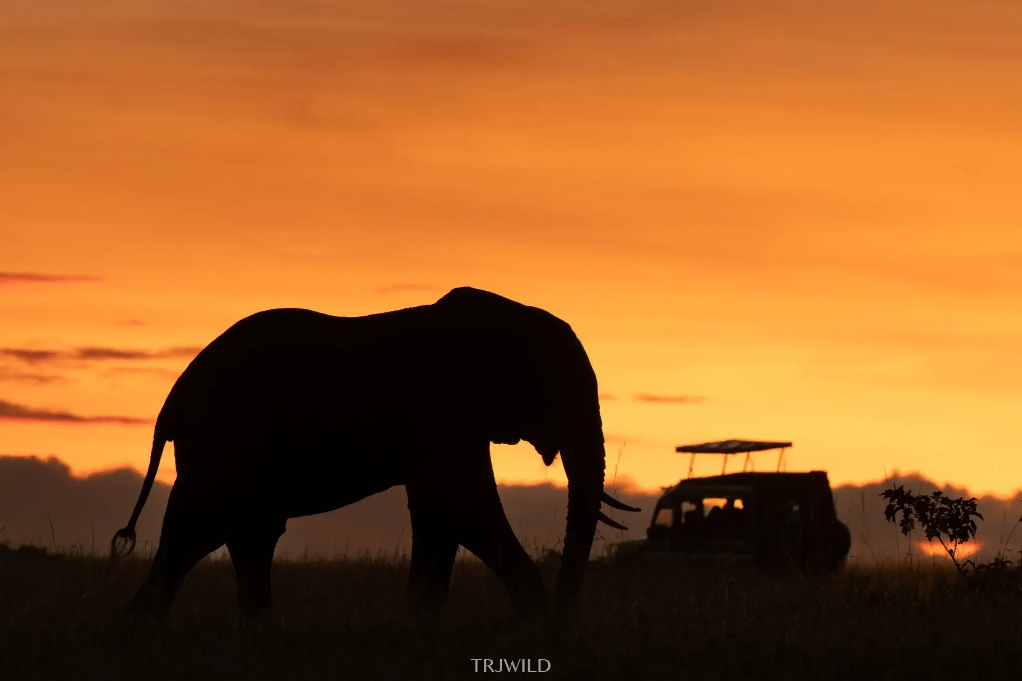 Your Dream Safari to Kenya is here at unbeatable price!